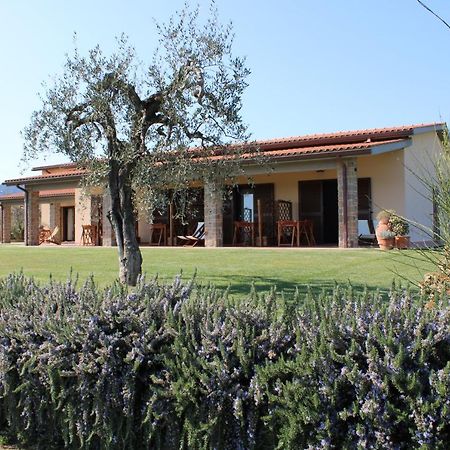 Agriturismo Il Vecchio Mandorlo Castiglione della Pescaia Luaran gambar